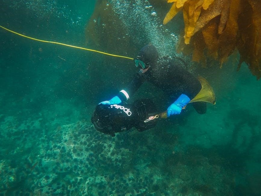 padi open water diver manual pdf padi open water diver manual pdf
