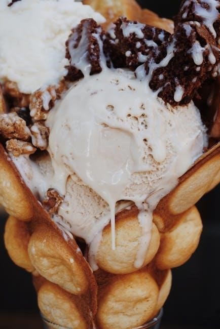 my mini waffle maker instructions